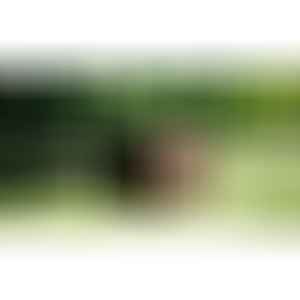 Компостер KETER DECO 231600 пластмасов компостер 340 литра с капак за градинско компостиране