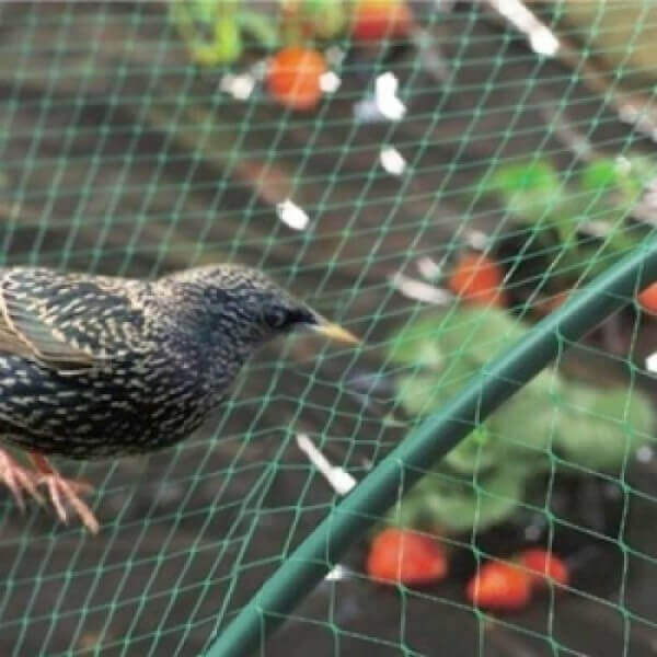 Мрежа срещу птици My Garden, 3x90 м, Полиетилен, Зелен Мрежа срещу птици My Garden, 3x90 м, Полиетилен, Зелен