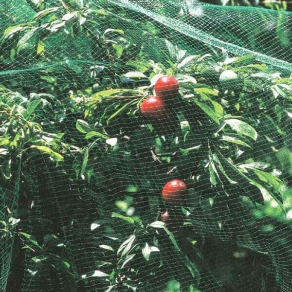 Мрежа срещу птици My Garden CPDA20230, зелена полиетиленова мрежа за защита на растения на площ 270 м². Мрежа срещу птици My Garden CPDA20230, зелена полиетиленова мрежа за защита на растения на площ 270 м².