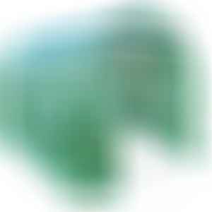 Оранжерия зелена WR-SG322 с UV защита, 3x2x2 м, метална рамка, прозорци и врати за вентилация