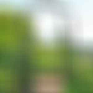 Градинска декорация