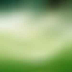 Поливни системи