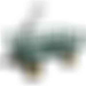 Градинска количка с мрежа 300кг / 113х51х55см - PSDS