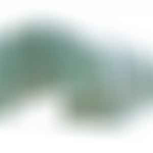 Оранжерия с 8 прозореца и 2 врати WR-SG422 / 4х2х2м