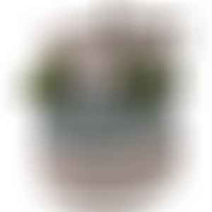 Ръчно тъкана кошница FHF-BS-2024-07, 100% памук, 40х40х40 см, многоцветна с дръжки за съхранение у дома